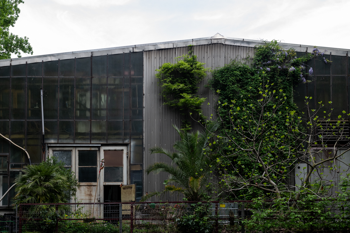 Das Bild zeigt ein großes, rundes Industriebauwerk mit einer metallischen, vermutlich Bitumen- oder Metallverkleidung. Die Fassade ist dunkelgrau und weist deutliche Verwitterung auf. Die Wände sind stark von Ranken und Grünpflanzen überwuchert, was dem Gebäude einen wilden, fast ungezähmten Charakter verleiht. Eine einzelne, gelbe Palm und blühende Wisteria-Sträucher sind in das Bild integriert. Im Vordergrund befindet sich ein schmiedeeiserner Zaun, der die Szene abrundet. Der Himmel ist bewölkt, was eine düstere, leicht bedrückende Stimmung erzeugt. Die Beleuchtung ist gedämpft und weist auf eine diffuse Lichtverhältnisse hin.