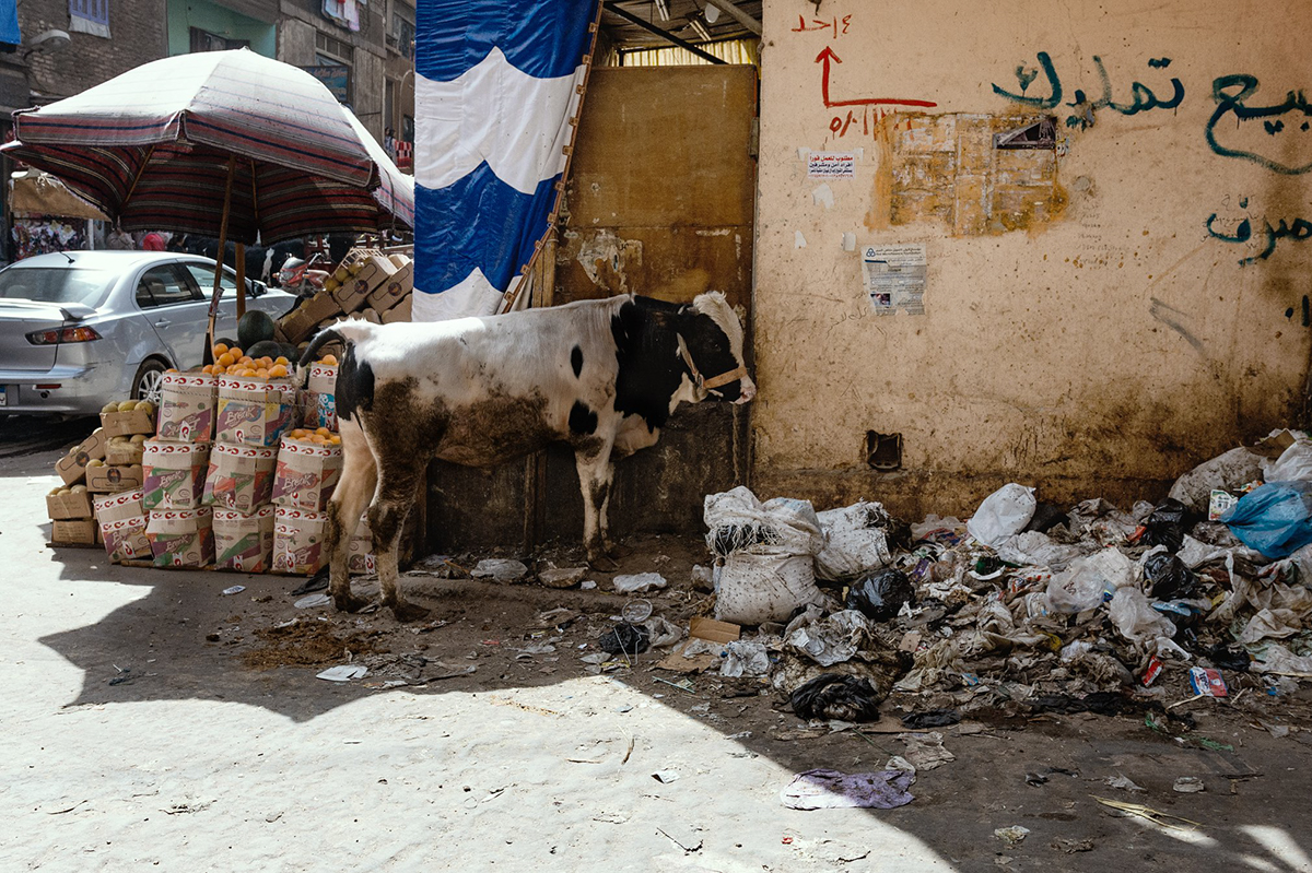 Reportage – Zabaleen | die Müllsammler von Kairo